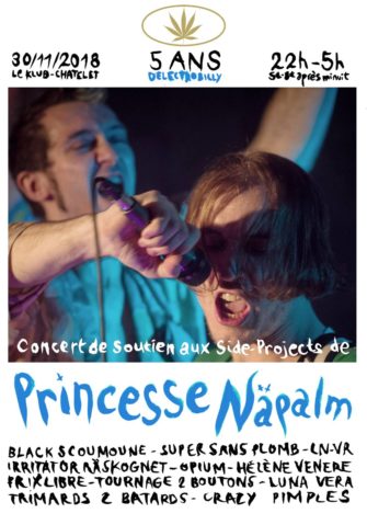 Princesse Näpalm = 5 ans d’EGOTRIP (+ soutien aux sideprojects)